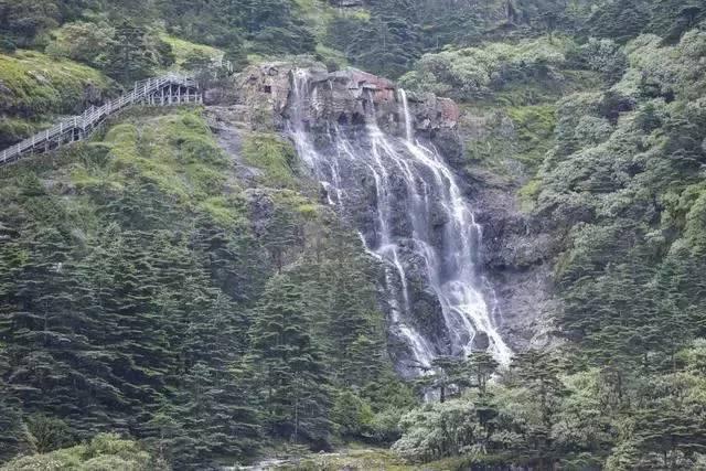 绿钻石进宝箱